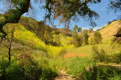 DSC_6392 (Large).JPG